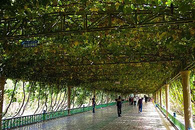 AR手游《怪物猎人Now》首周下载量超5百万次